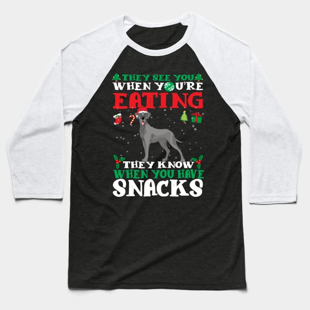 Christmas Dog Eating Snacks Baseball T-Shirt by CyberpunkTees